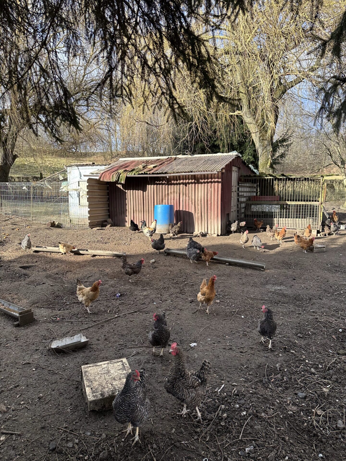 Zielone otoczenie agroturystyki